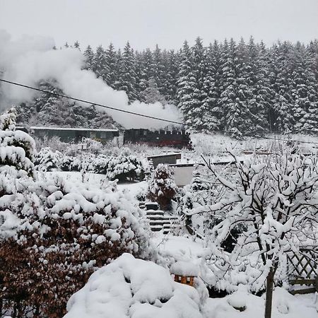 Ferienwohnung Bimmelbahn-Blick Neudorf  المظهر الخارجي الصورة