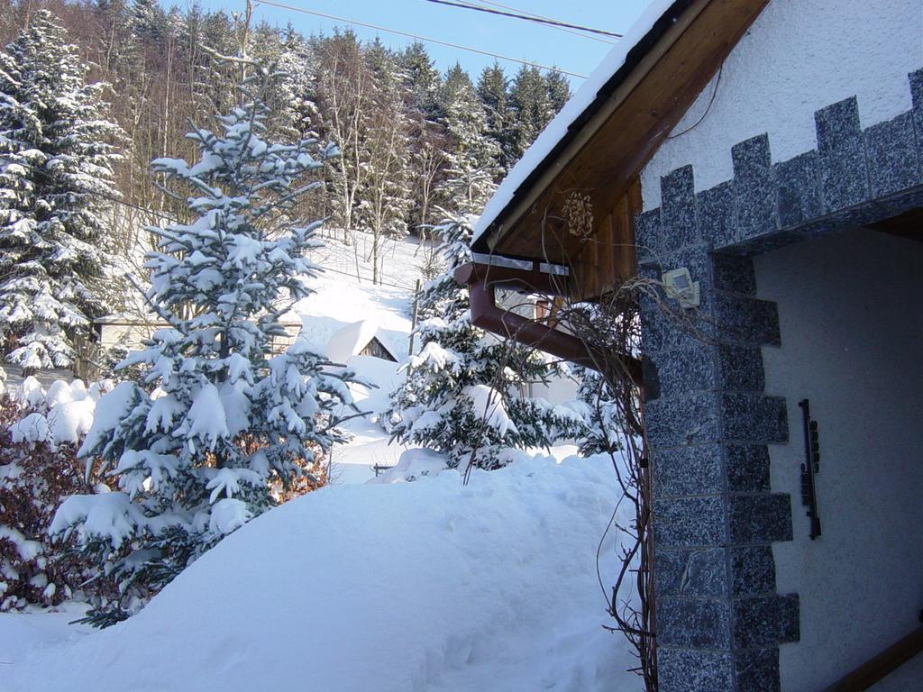 Ferienwohnung Bimmelbahn-Blick Neudorf  الغرفة الصورة